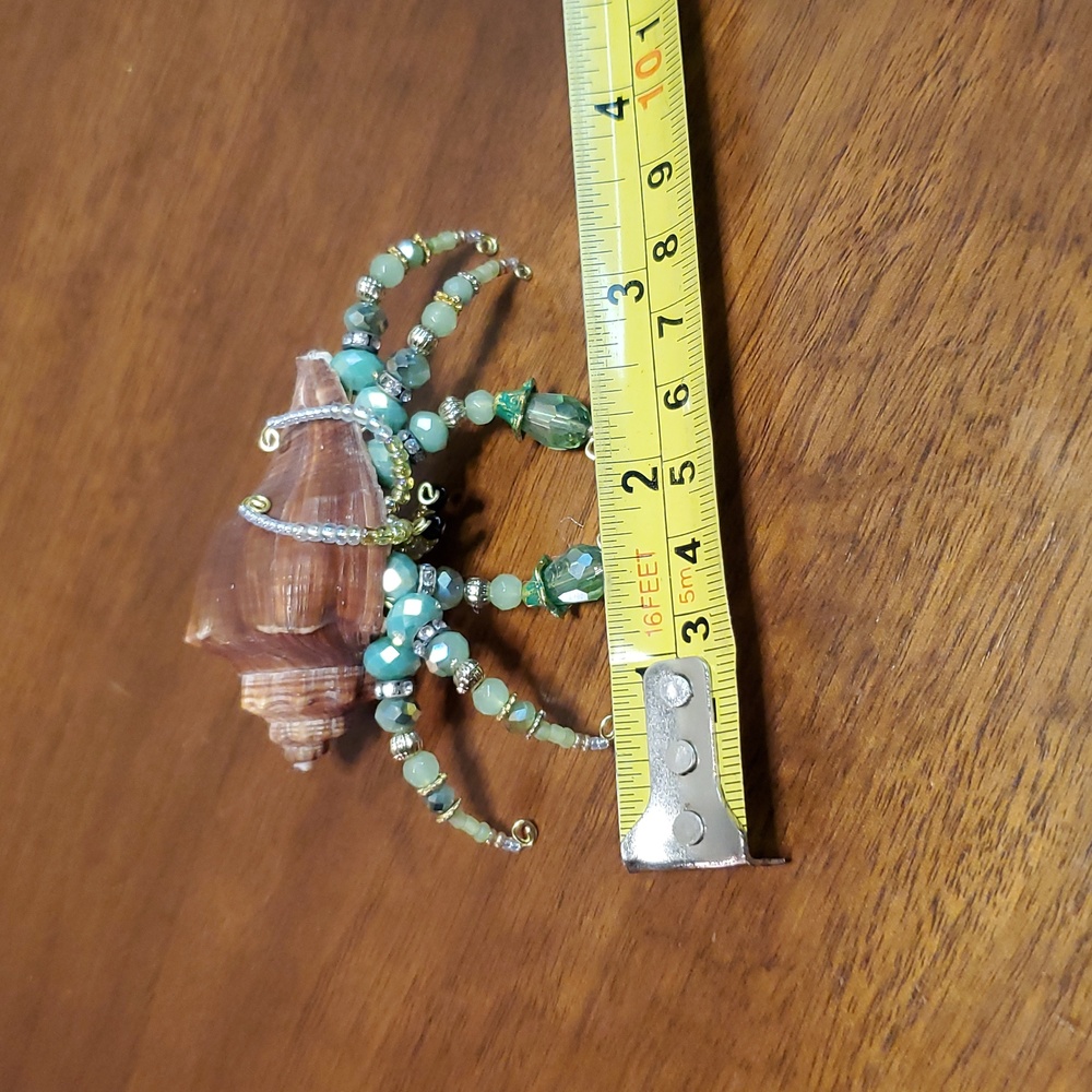 Beaded Sea Shell Hermit Crab - Picture 6 of 6
